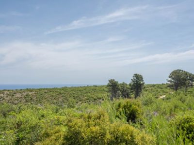 Land in Javea