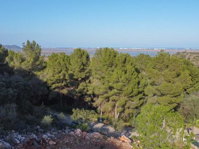 Land in Pego